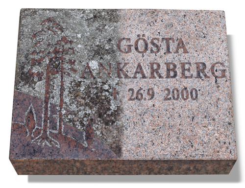 Nilsson ren sten_56732_0